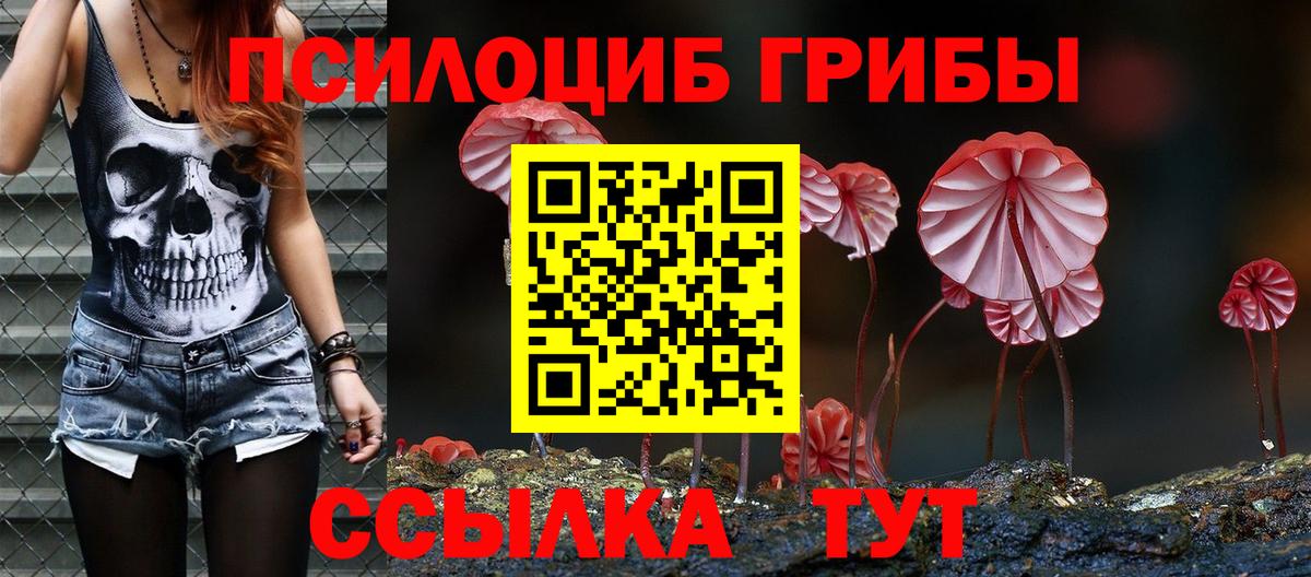 Всеволожск  Галлюциногенные грибы Psilocybine cubensis  Вход с VPN 